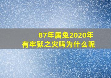 87年属兔2020年有牢狱之灾吗为什么呢