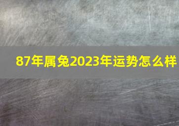 87年属兔2023年运势怎么样