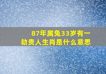 87年属兔33岁有一劫贵人生肖是什么意思