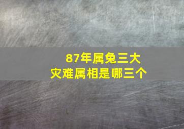 87年属兔三大灾难属相是哪三个