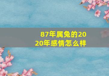 87年属兔的2020年感情怎么样