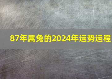 87年属兔的2024年运势运程