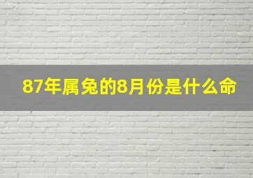 87年属兔的8月份是什么命