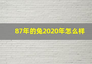 87年的兔2020年怎么样