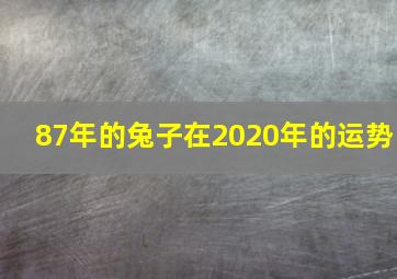 87年的兔子在2020年的运势