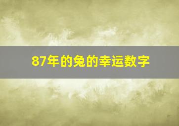 87年的兔的幸运数字