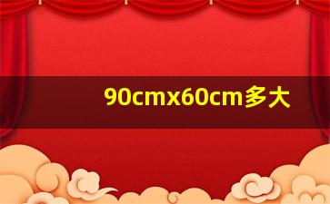 90cmx60cm多大