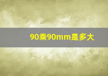 90乘90mm是多大