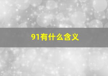 91有什么含义