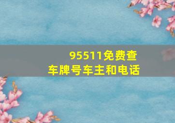 95511免费查车牌号车主和电话