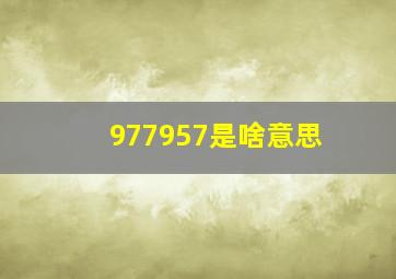 977957是啥意思