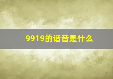 9919的谐音是什么