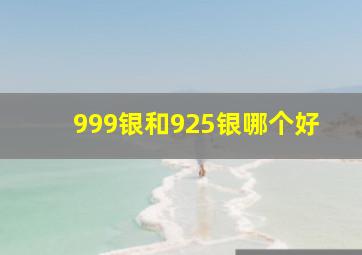 999银和925银哪个好