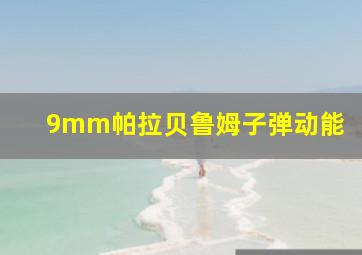 9mm帕拉贝鲁姆子弹动能