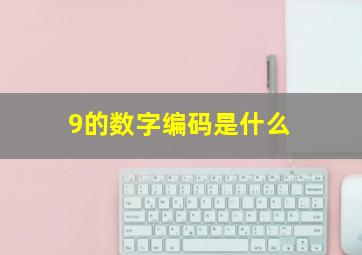 9的数字编码是什么