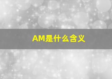 AM是什么含义