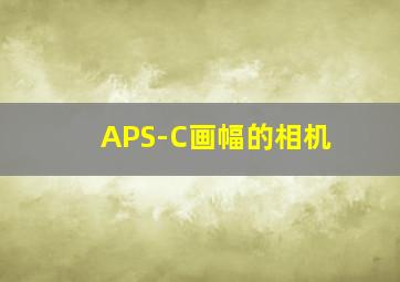 APS-C画幅的相机