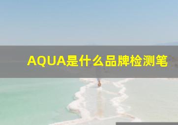 AQUA是什么品牌检测笔