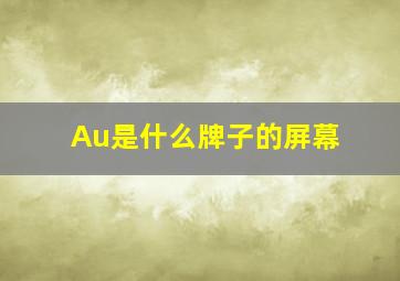 Au是什么牌子的屏幕