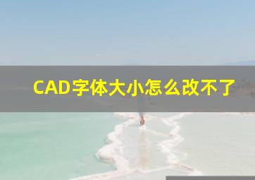 CAD字体大小怎么改不了