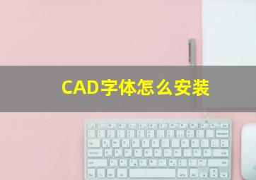 CAD字体怎么安装