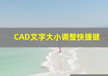 CAD文字大小调整快捷键