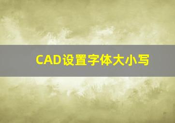 CAD设置字体大小写