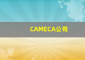 CAMECA公司