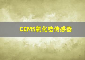 CEMS氧化锆传感器