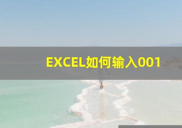 EXCEL如何输入001