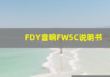 FDY音响FW5C说明书