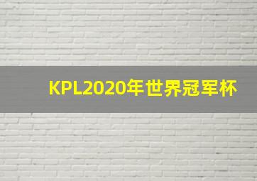 KPL2020年世界冠军杯