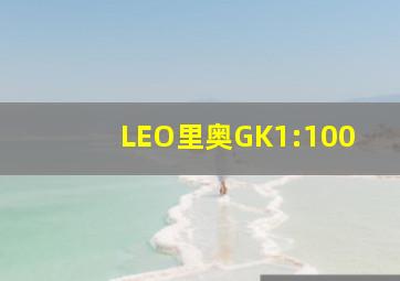 LEO里奥GK1:100