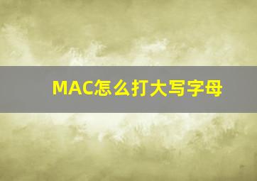 MAC怎么打大写字母