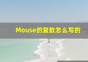 Mouse的复数怎么写的