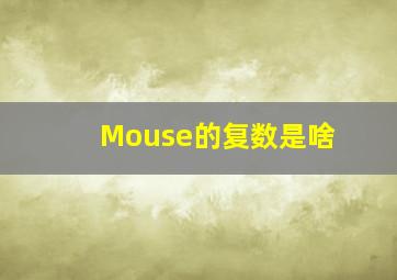 Mouse的复数是啥