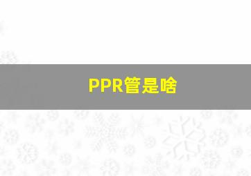 PPR管是啥