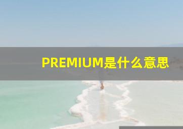 PREMIUM是什么意思