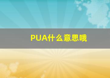 PUA什么意思哦