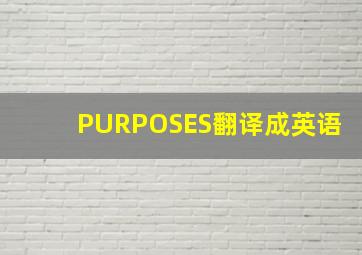 PURPOSES翻译成英语