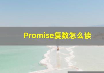 Promise复数怎么读