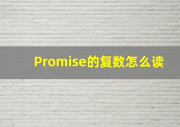 Promise的复数怎么读