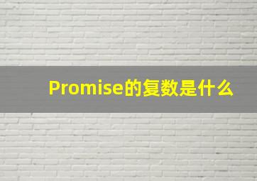 Promise的复数是什么