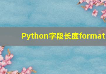 Python字段长度format