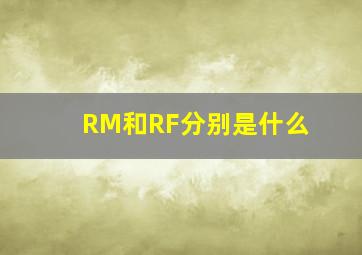 RM和RF分别是什么