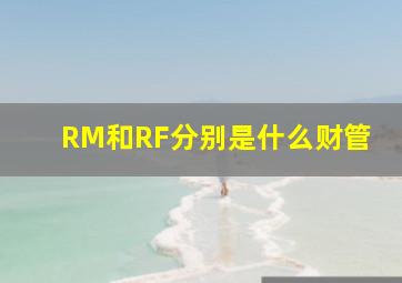 RM和RF分别是什么财管