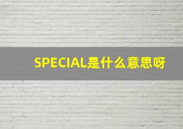 SPECIAL是什么意思呀