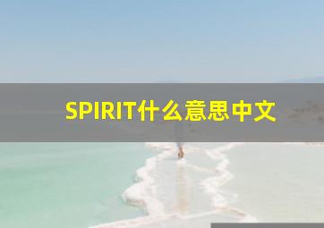 SPIRIT什么意思中文