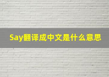 Say翻译成中文是什么意思