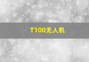 T100无人机